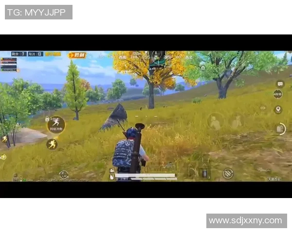 聚焦和平精英WE团队的技术创新与游戏优化探讨 聚焦和平精英WE团队的技术创新与游戏优化探讨