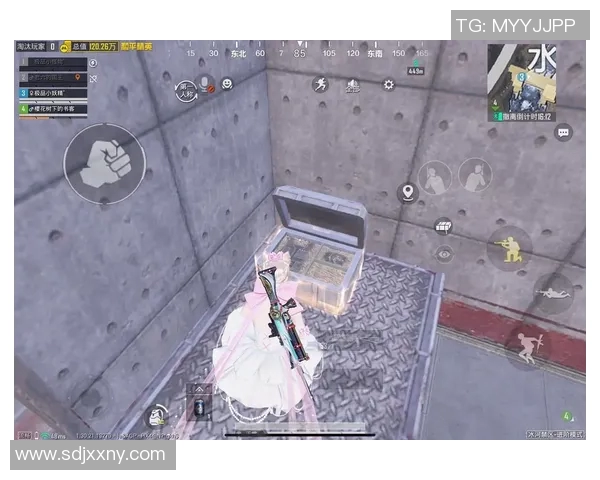 热议和平精英IG战术变革与S15赛季LOL新策略的深度解析