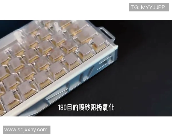 电竞比分DOTA2装备选购必备机械键盘推荐助你提升游戏体验与操作精准度