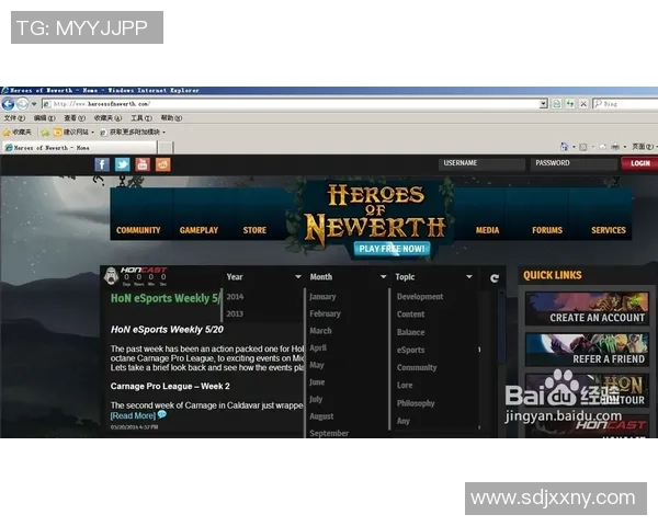 刘静深度解析英雄联盟游戏策略与技巧分享助你提升实力